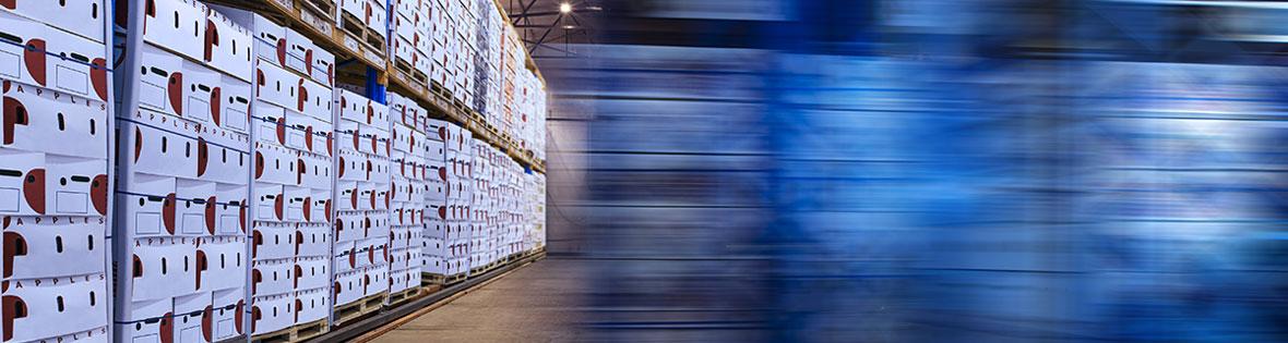 Supply Chain Sustainability Explained