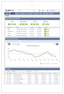 NetSuite Dashboard