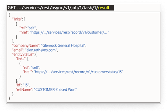 NetSuite SuiteCloud Platform Integration