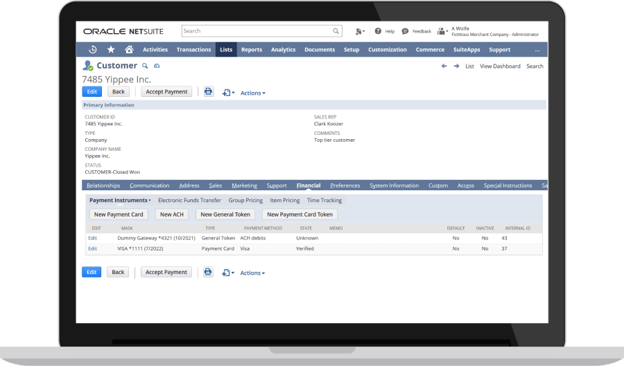 NetSuite Payment Processing dashboard