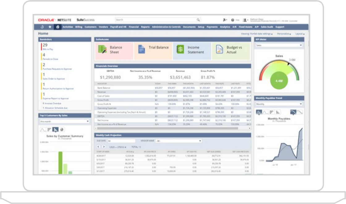 Financial Reporting Software Solution, ERP NetSuite