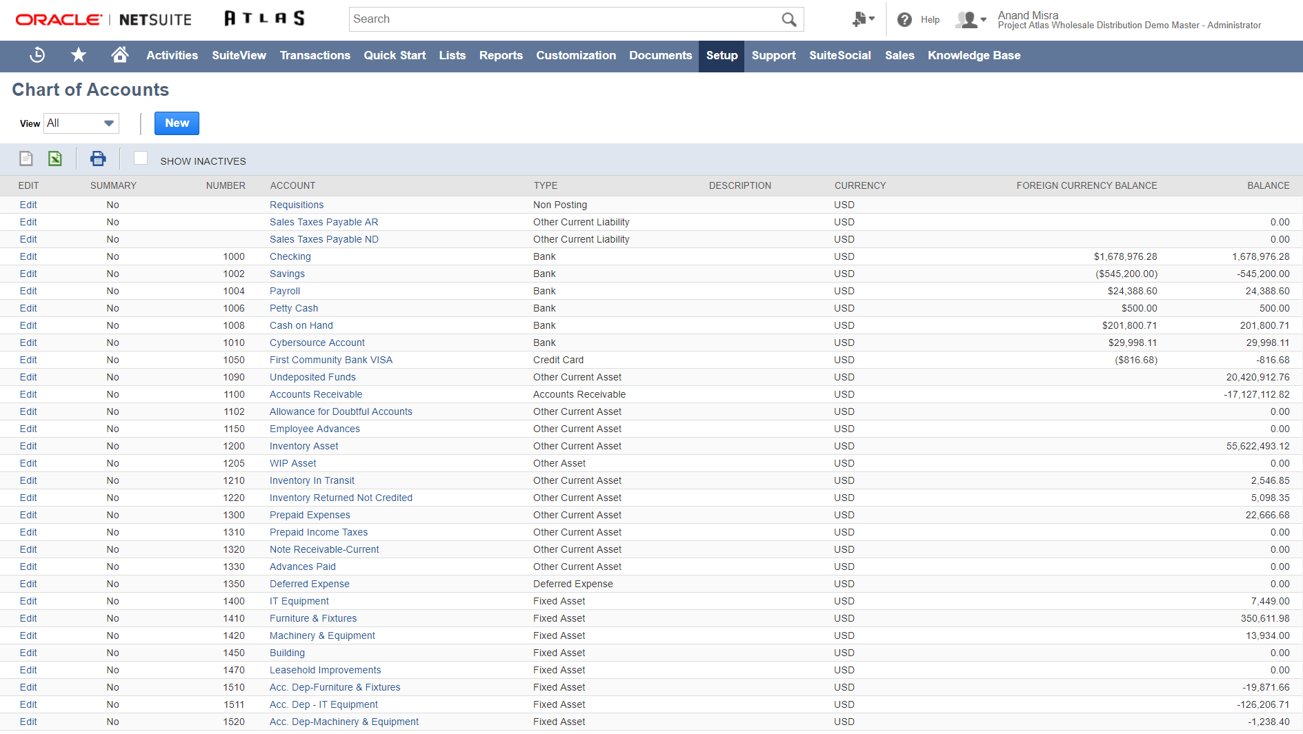 cloud accounting software for business netsuite what is a business ledger
