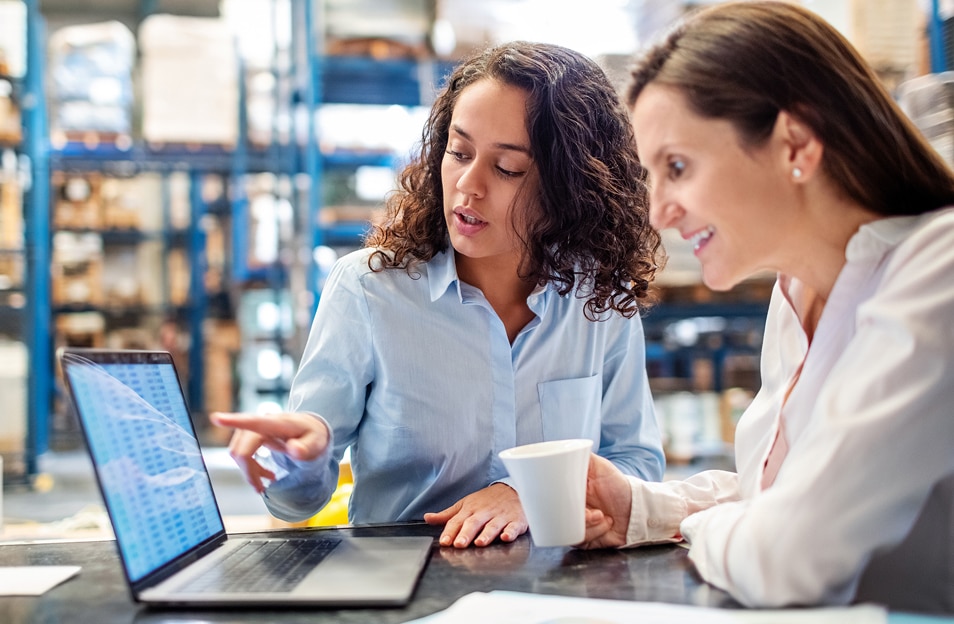 NetSuite Manufacturing ERP Thumbnail