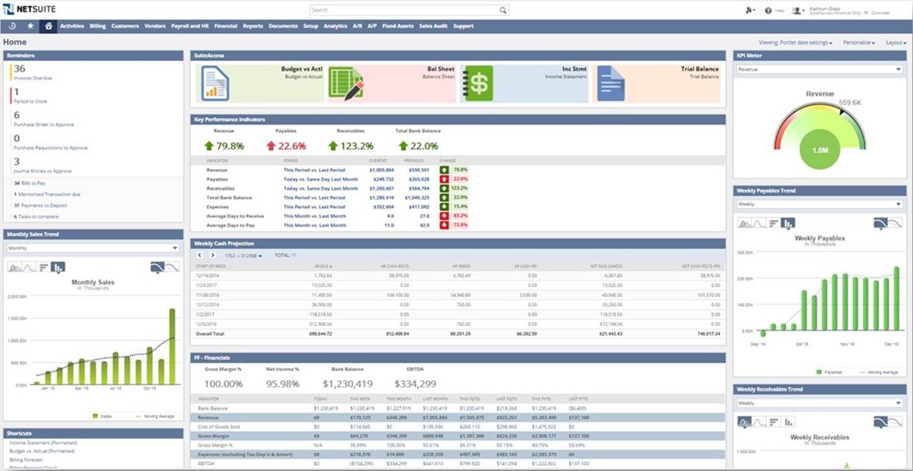 NetSuite SuiteSuccess For Financials Companies